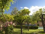 Garden and pool
